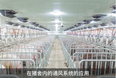 怎样提高鸡舍鸭舍猪舍养殖场的环境通风效果？